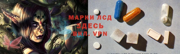 ГАЛЛЮЦИНОГЕННЫЕ ГРИБЫ Строитель