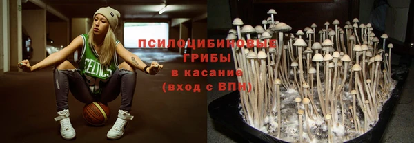 мдпв Гусиноозёрск