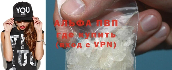 дмт Гусев