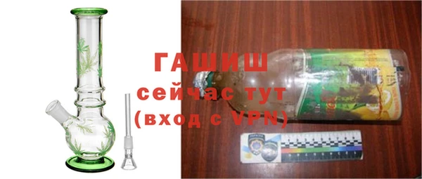 дмт Гусев
