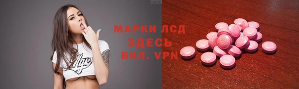 дмт Гусев