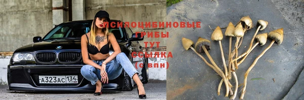 мдпв Гусиноозёрск