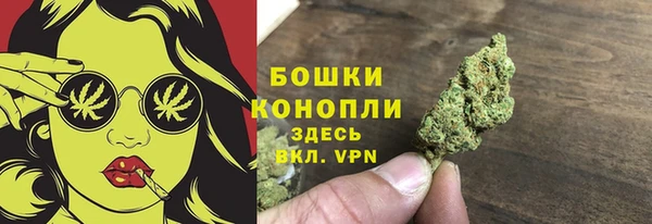 дмт Гусев